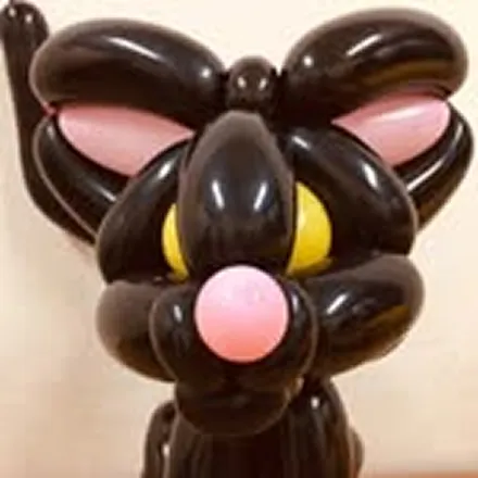 鳥取大学バルーンアート&ジャグリングサークル